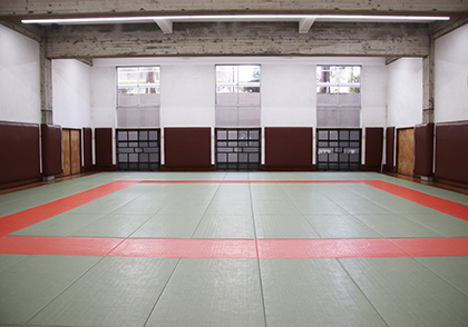 Gymnasium No. 5 Dojo