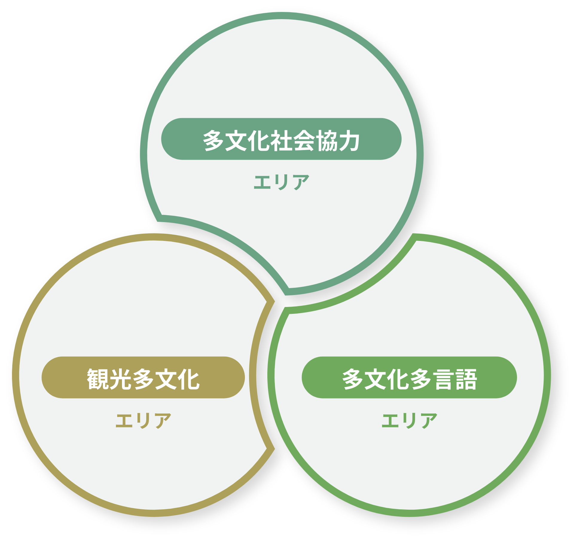 多文化コミュニケーション学科学びの領域