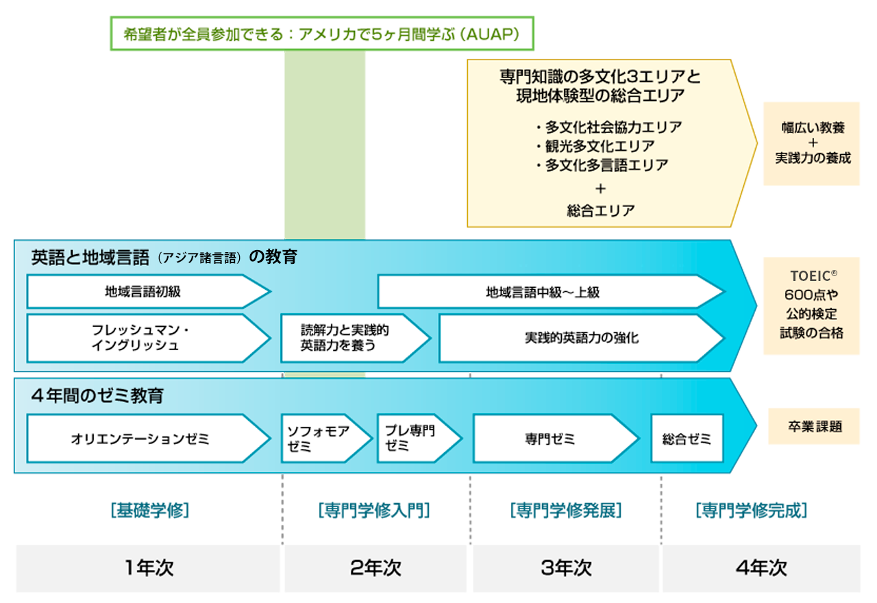 多文化コミュニケーション学科カリキュラム