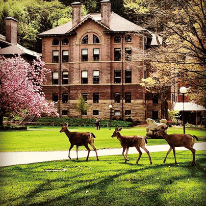 ウェスタンワシントン大学