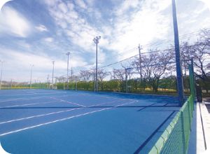 Tennis court