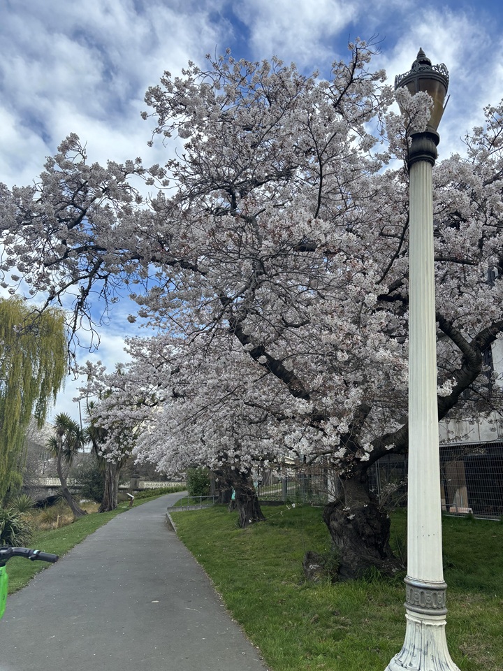 AUGP久保田さん①_2