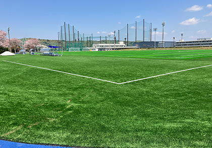 Multipurpose ground 2