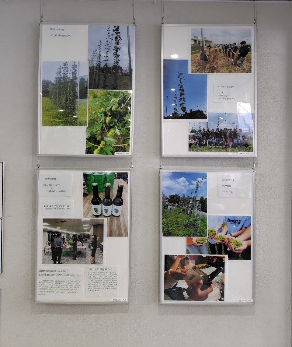 武蔵境駅前QuOLaで亜細亜大学ホッププロジェクト（AUHP）の写真を展示