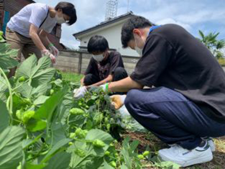 髙石光一ゼミ生が地域活性化プロジェクトに携わりました_1